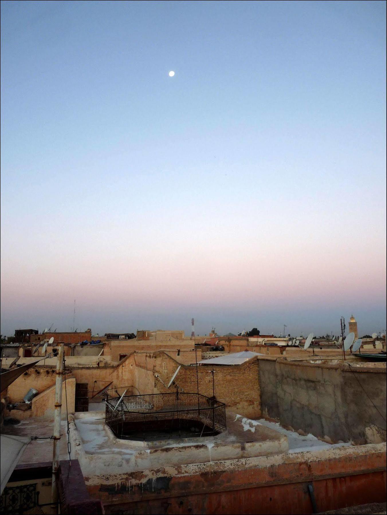 رياض نوس نوس